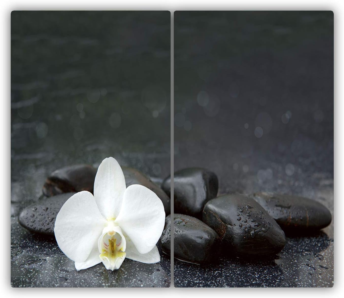 tavole di protezione per piano da lavoro