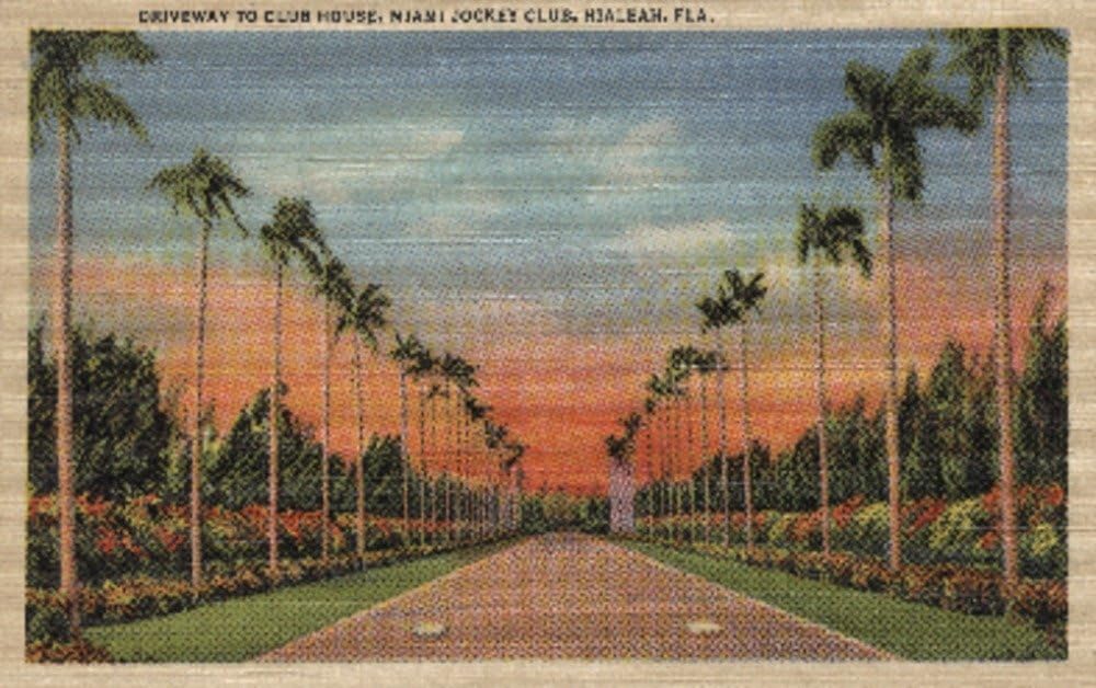 Hialeah, Florida, Miami Jockey Club Driveway Posters & Prints