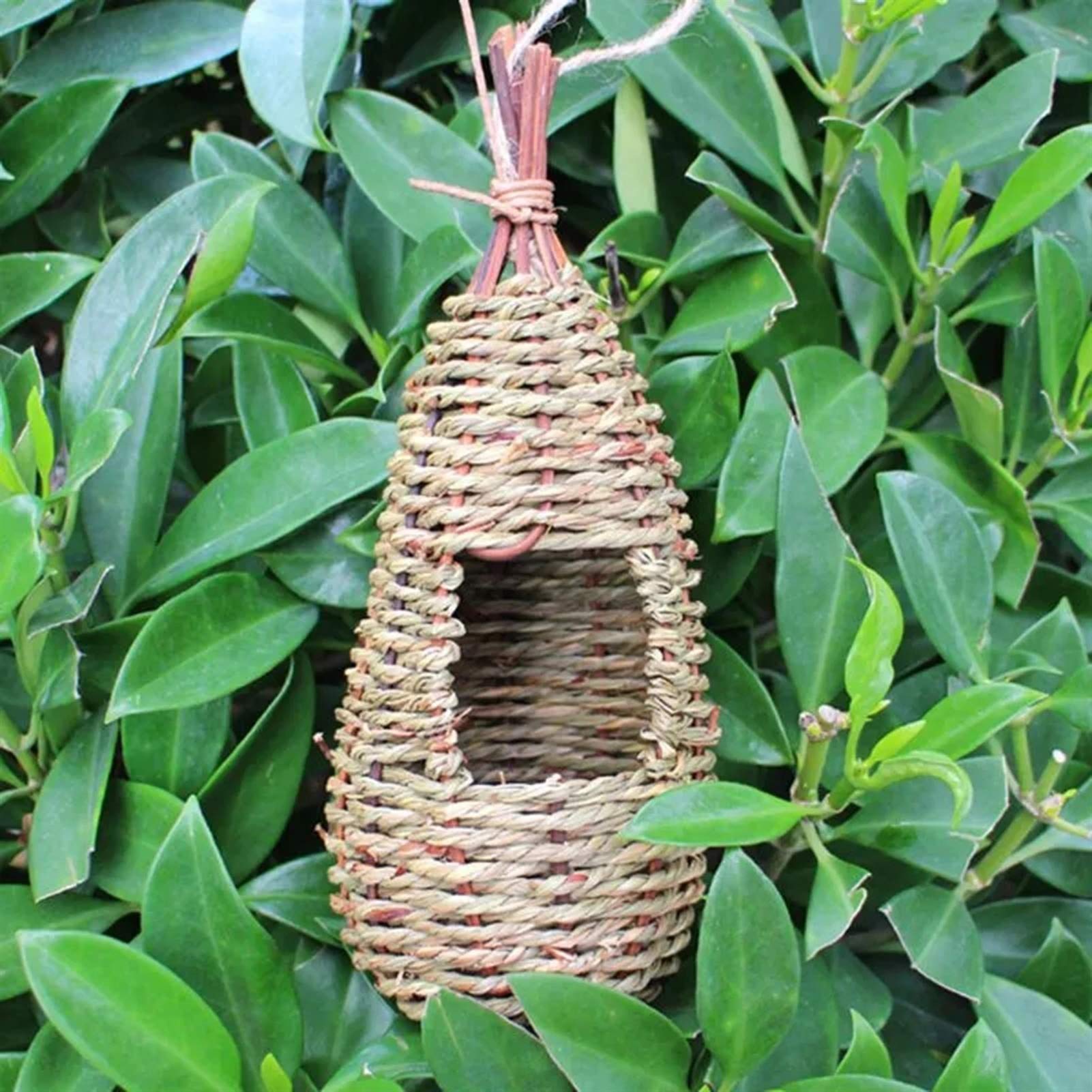 Casa para pájaros, Nido de pájaro Natural Puro en Forma de Gota, decoración de jardín al Aire Libre, Lugar de Descanso y cría de pájaros