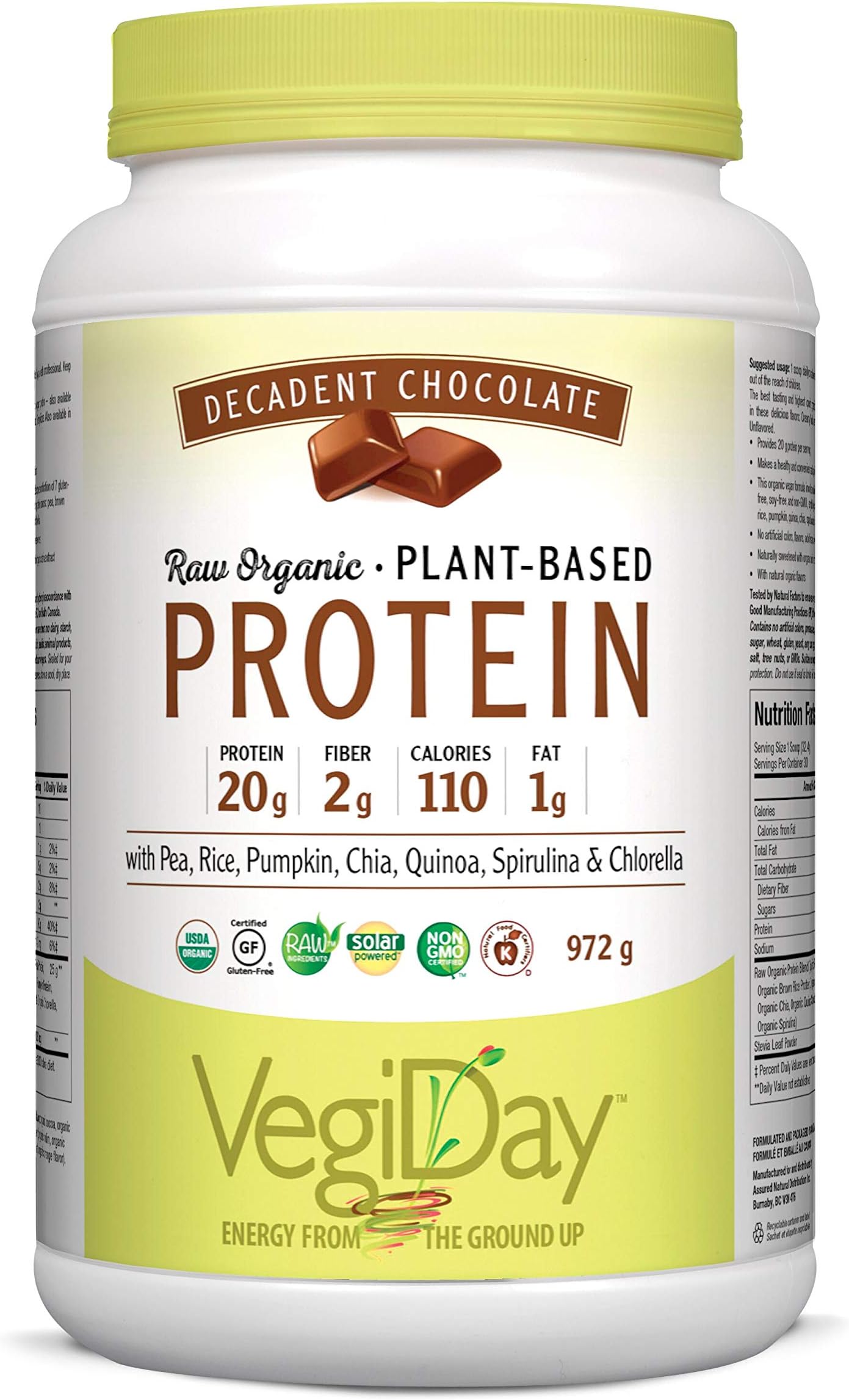 VegiDay Raw Organic Plant Based Protein Decadent Chocolate, 972 gUSDA Organic
