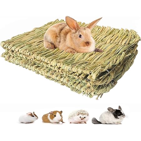 bunny bedding