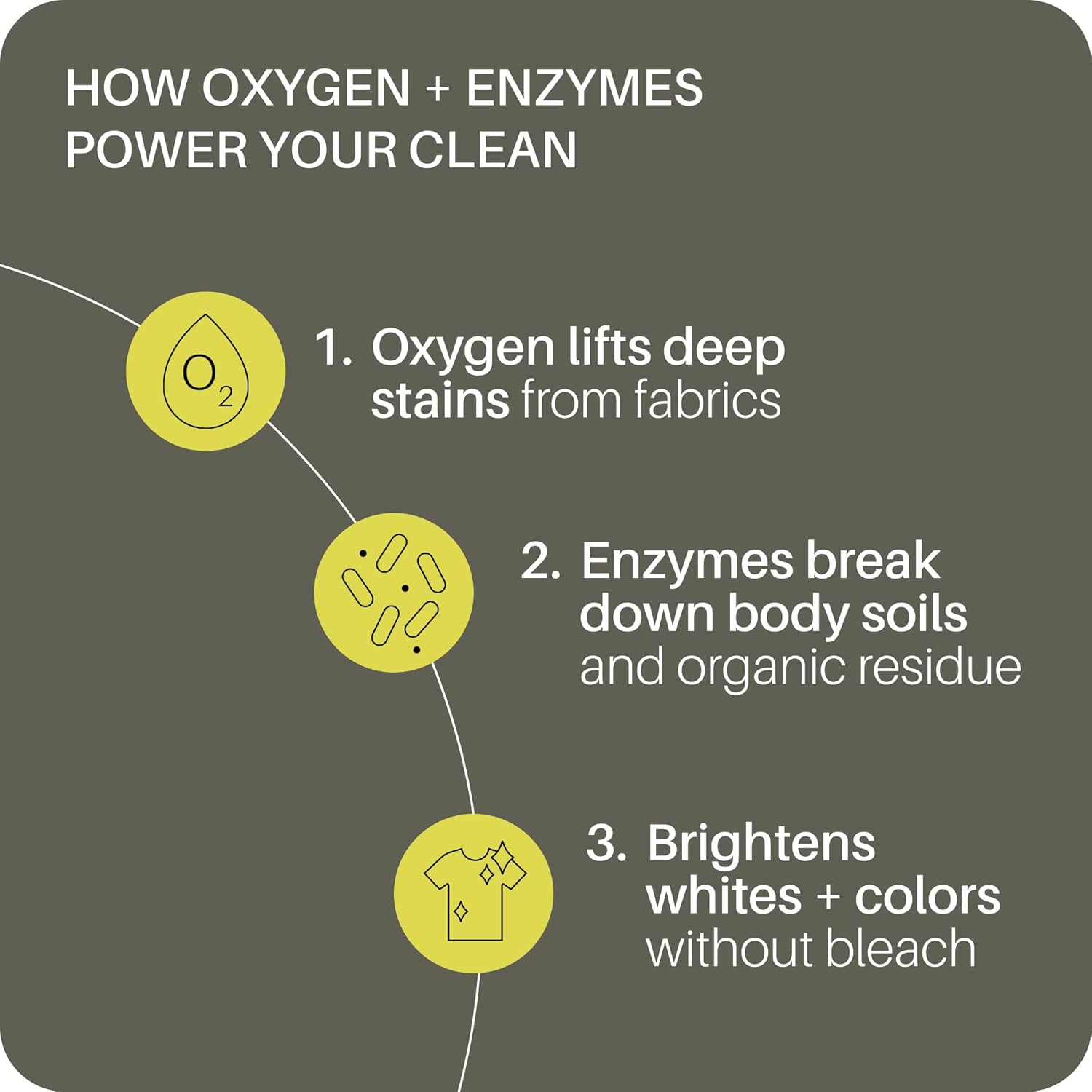 Everneat Bright Oxygen Bleach | Oxygen + Enzyme Booster with Phosphodiesterase | Non-Chlorine, Fragrance-Free, Refillable | Brightens Whites, Lifts Stains, Deodorizes Naturally (16oz Jar)