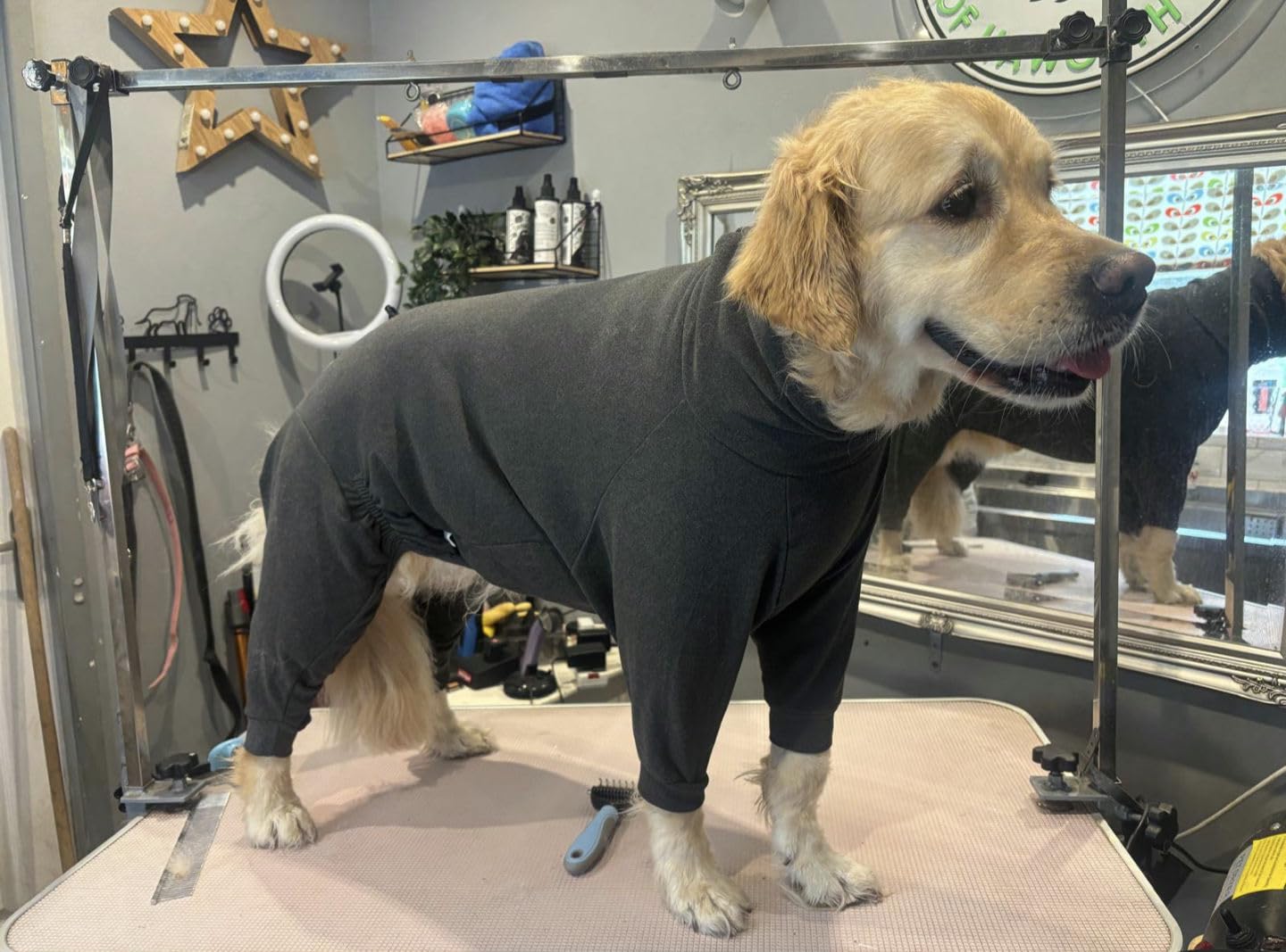 Aqua fleece dog coat water resistant (Grey, XXL)
