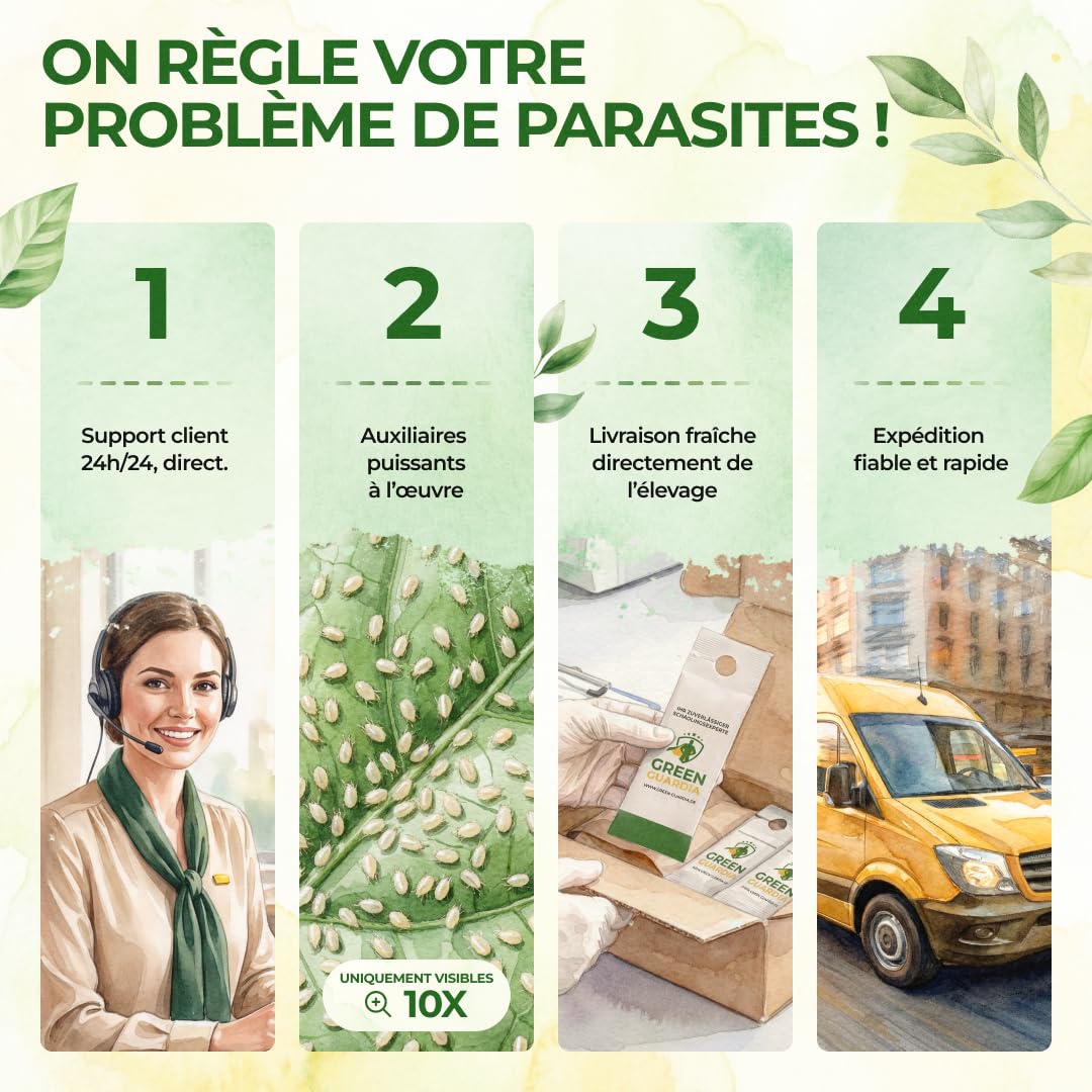 GREEN GUARDIA Power Acariens Anti-Acariens Biologiques – 35 Sachets Prêts à l’Emploi – Lutte Biologique contre les Tétranyques pour Plantes d’Intérieur, Plantes Ornementales et Cultures en Pot