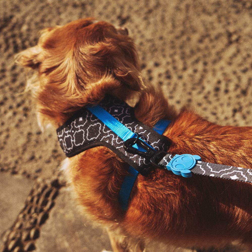 Amazon | zee.dog ジードッグ MESH HARNESS/メッシュハーネス (2020ss