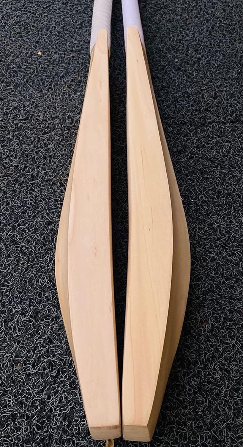 Maxxic Sports Oneten English Willow Bat For Professional Matches With High Grains Full Size By Maxxic Sports