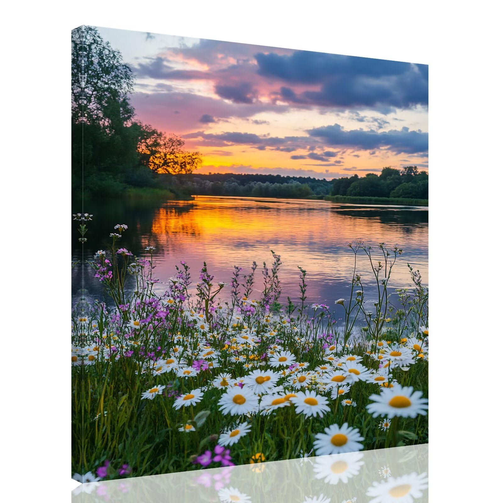 Dipingere Con i Numeri Adulti Margherita Dipingere con i Numeri con Telaio 60x80 cm,Paesaggio Paint by Numbers con Vernici e Pennelli,Kit di Pittura a Olio Fai-da-Te,Decorazioni Casa Regalo,kk-1068