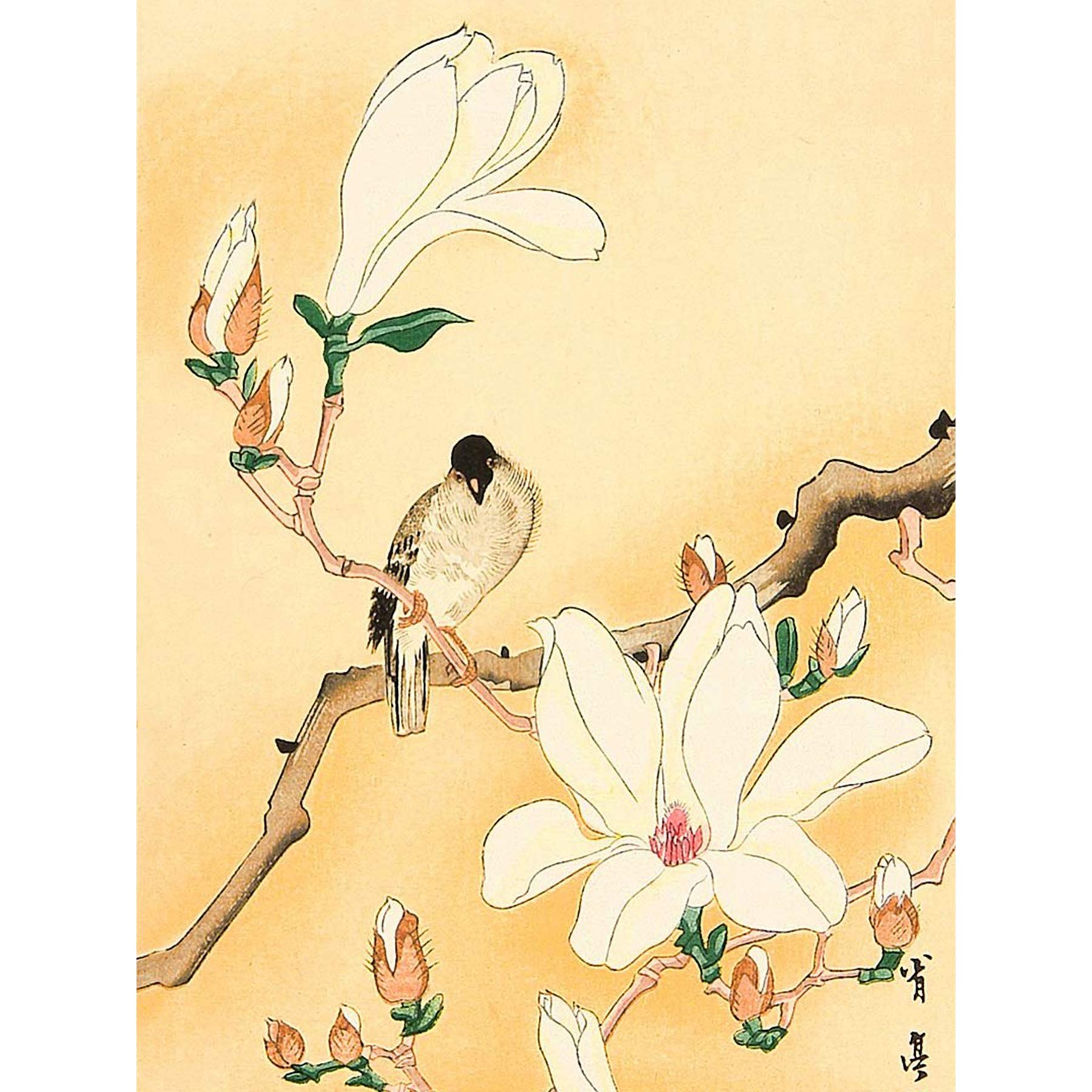 Seitei Bird Magnolia Branch Japanese Painting Premium Wall Art Canvas Print 18X24 Inch