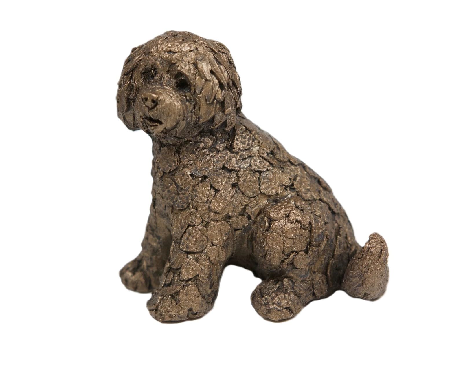 Frith Brown Shorty Labradoodle Sitting - Atm001