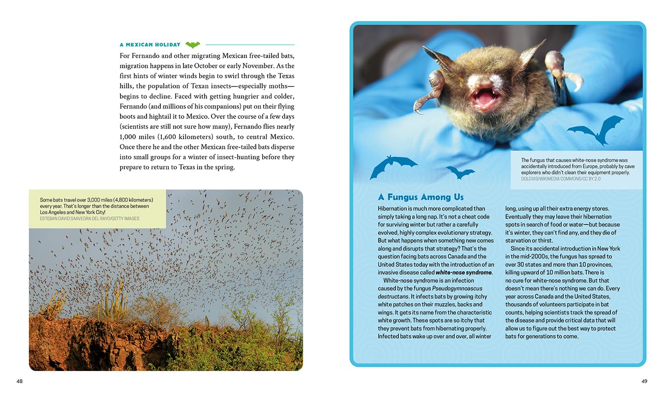 Bat Planet: The Mysterious Life of the Creatures of the Night (Orca Wild, 20)