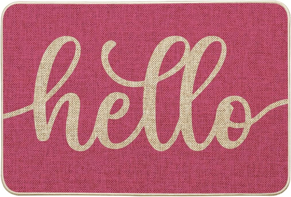 Artoid Mode Pink Hello Spring Doormat, Summer Home Decor Low-Profile Switch Rug Door Mat Floor Mat for Indoor Outdoor 24x35 Inch