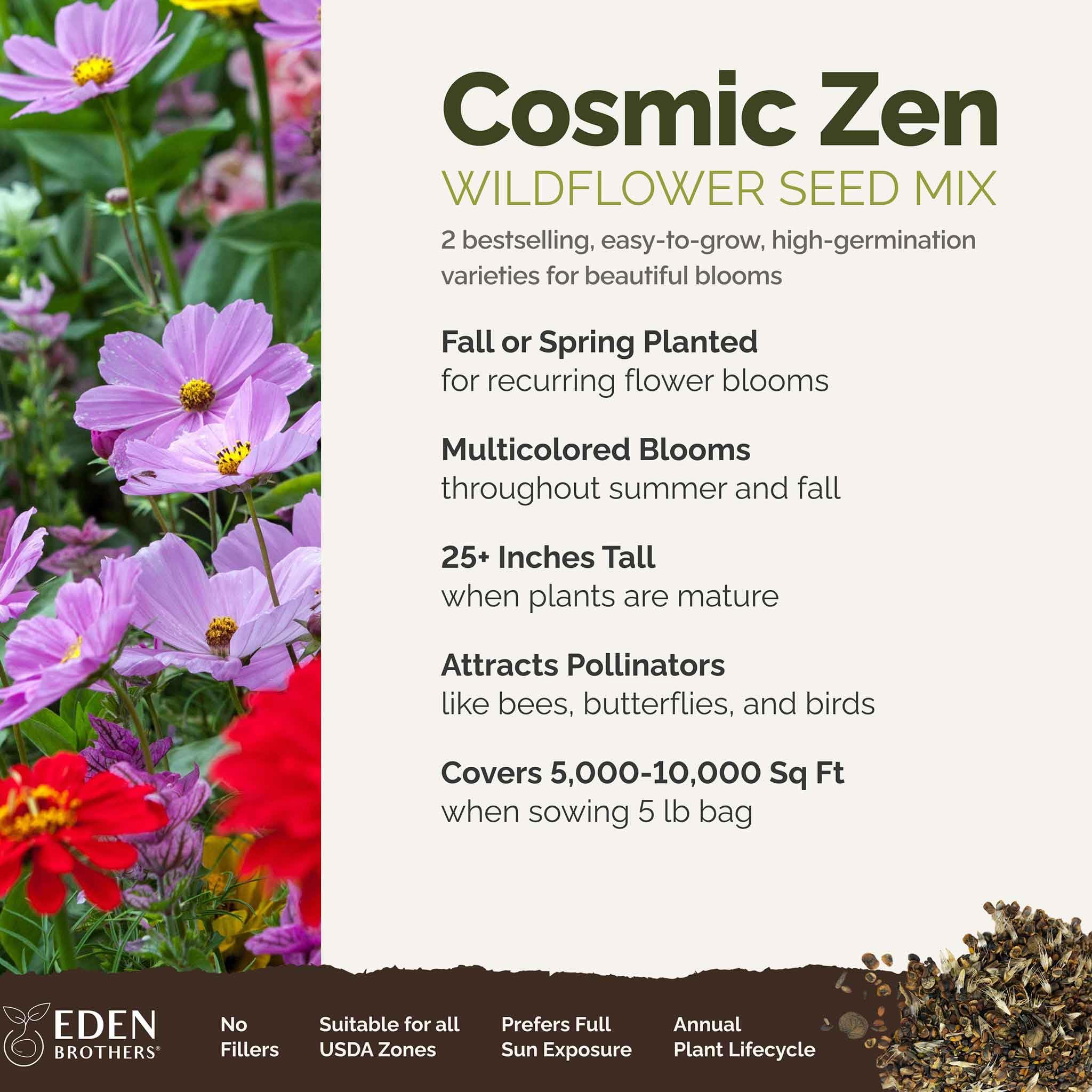 Amazon.com : Eden Brothers Cosmic Zen Flower Mixed Seeds for