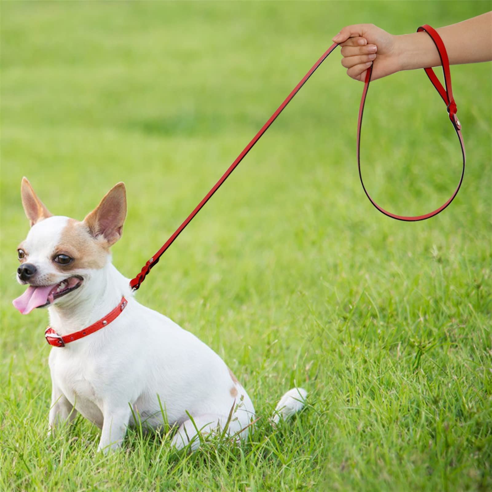 Skórzana smycz dla zwierząt Skórzana pleciona smycz dla psa Puppy Walking Training Lead Zwierzęta domowe Psy Smycze Pasek dla małych, średnich i dużych psów Lina trakcyjna 130 cm (kolor: 02, rozmiar