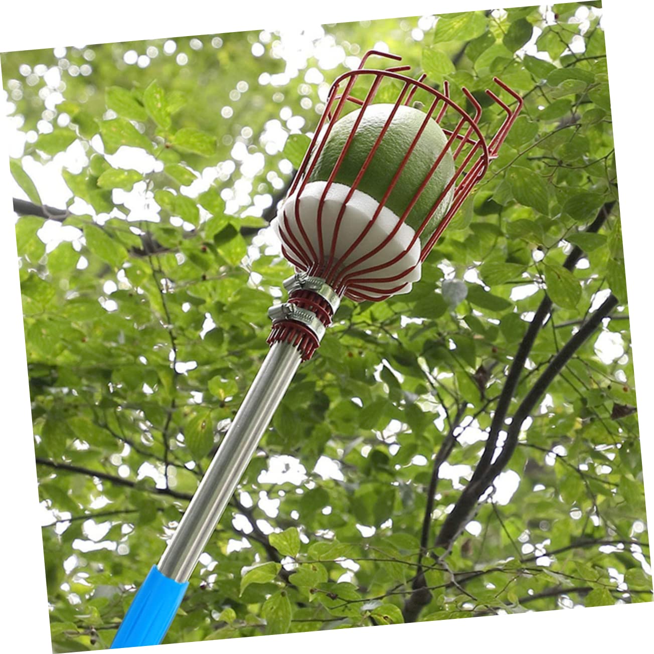 Outil Cueille-Fruits Détachable 1 Set en Acier Inoxydable Rouge
