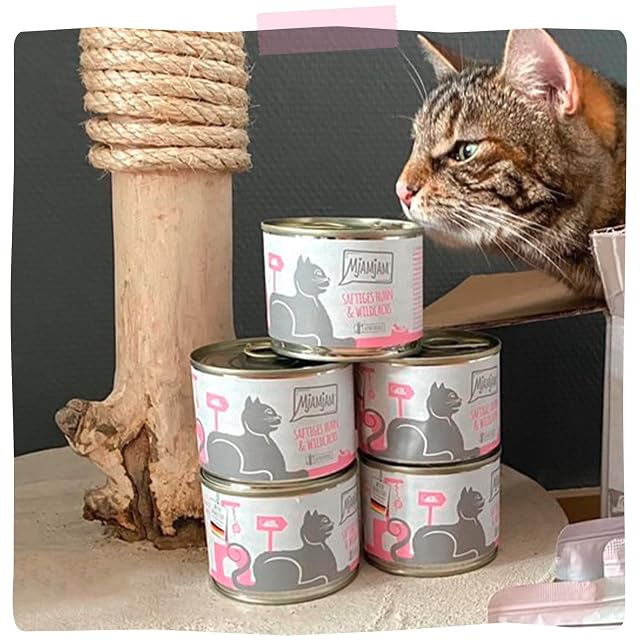 Foto 6 de 6 de MjAMjAM - comida húmeda premium para gatos