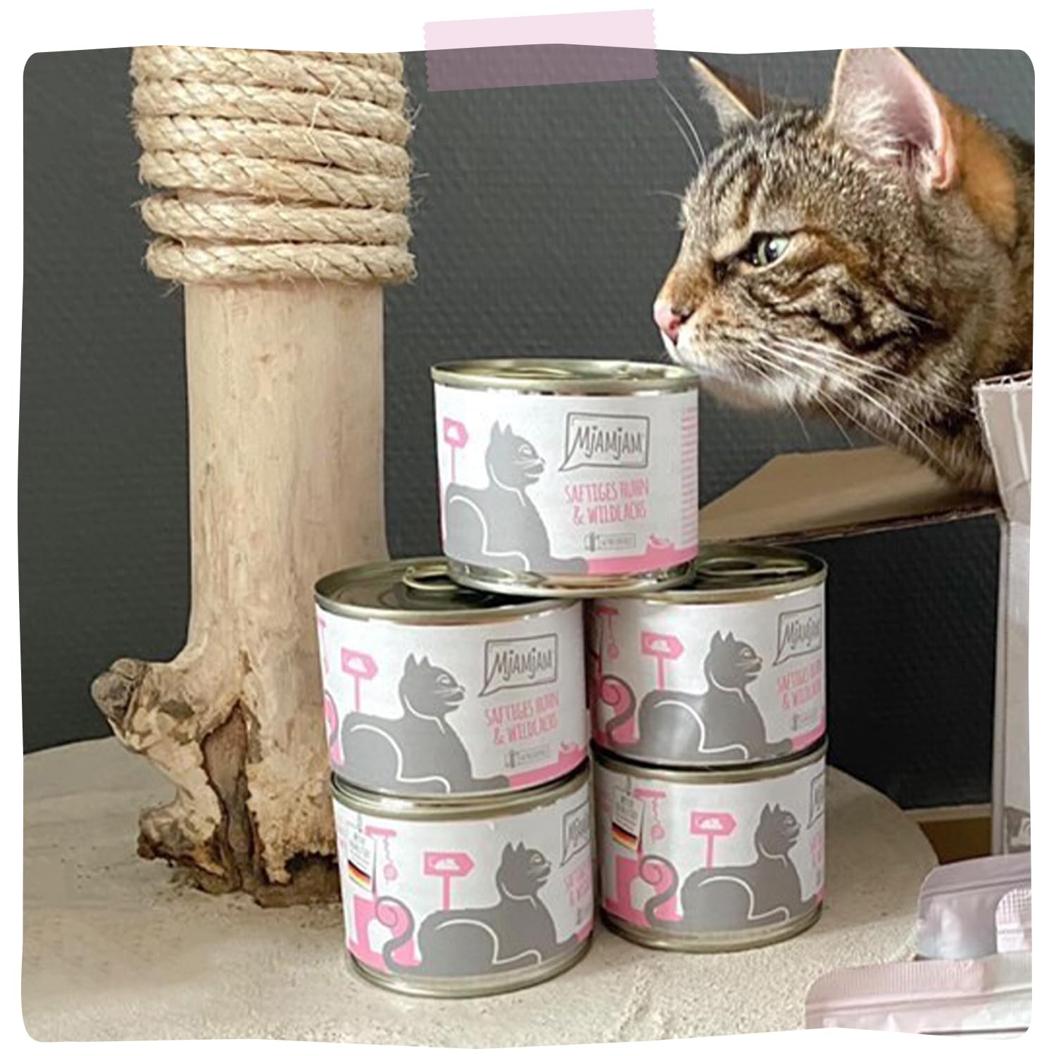 Leonardo Senior katten natvoer zakje 85g