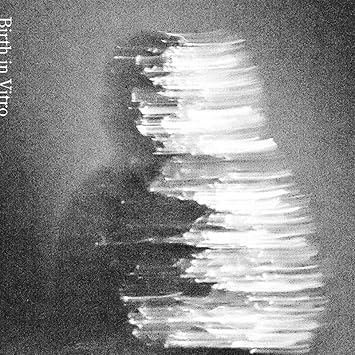 [Single] Fulusu – Birth in Vitro (2026.04.29/MP3+Flac/RAR)
