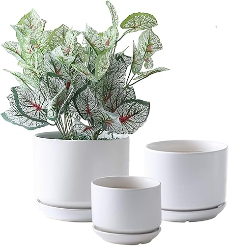 Miniatura 1 de Yishang Macetas suculentas de cerámica esmaltada de 6.7 + 5.3 + 4.1 pulgadas con platillos conectados, macetas redondas de cerámica modernas,