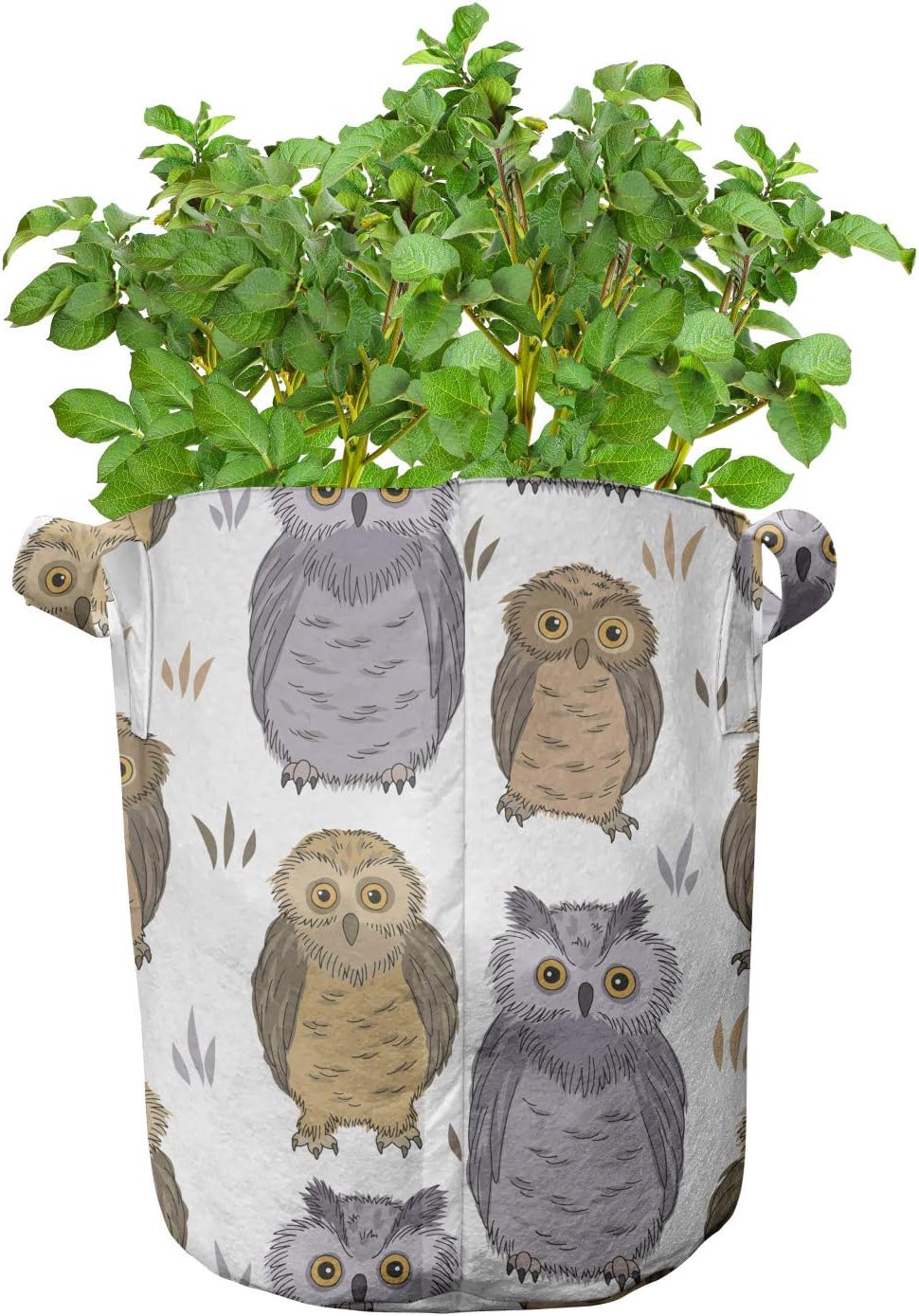 Lunarable Owl Grow Bags 5-Pack, Bird Awake at Night Animals, Heavyduty Fabric Pots with Handles for Plants, 7 Gallon, White Cocoa Sand Brown