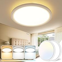 Solchi LED Ceiling Light, 18 W 1800 LM, Adjustable Ceiling Light 3000 K-6500 K, Diameter 23 cm, Round Modern Ceiling Light with Waterproof for Living Room, Kitchen, Bathroom, Bedroom, Hallway [2 Pack]