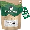 Organic Lion's Mane Mushroom Powder | 7 Month Supply | High-Strength Full-Spectrum Extract for Cognitive Function, Focus, and Immune Support | 100% Pure Hericium Erinaceus