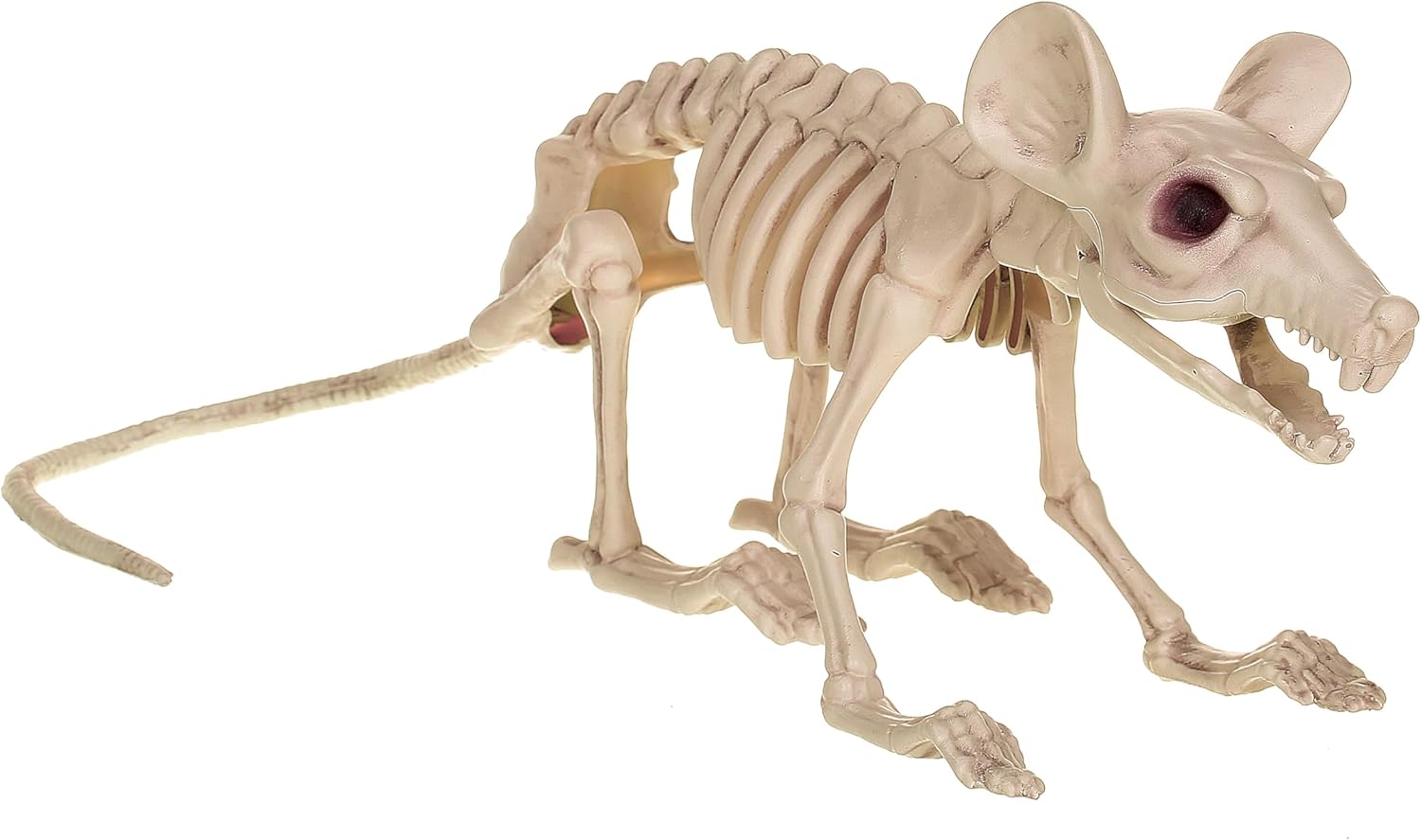 Crazy Bonez Large Rat Skeleton Halloween Decoration, Crawling Animal Yard Decoration Indoor Outdoor, 14"