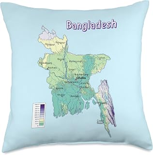 physical map of Bangladesh, Border, rivers and major cities Throw Pillow