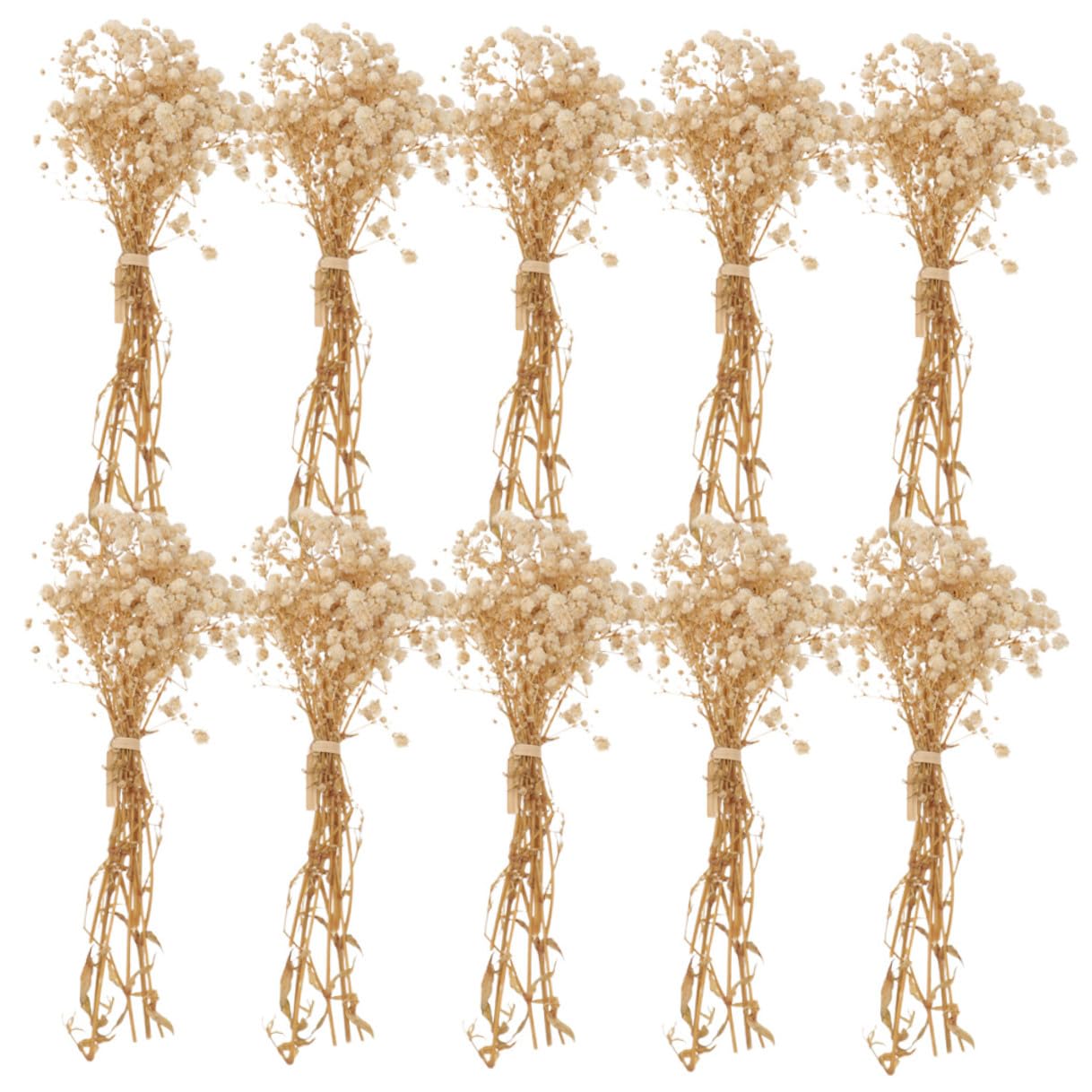 VALICLUD Bouquet Di Fiori Secchi Di Alito Di Ragazzo Ragazza Naturali, Mazzo Decorativo Per Centrotavola Da Pranzo e Soggiorno, Ornamentale Senza Manutenzione, 10 Mazzi Confezionati in Scatola Regalo