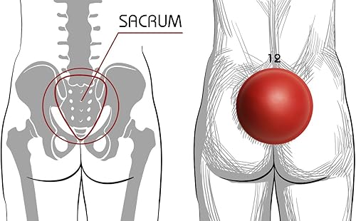Miniatura 8 de Pelvic Clock® dispositivo de ejercitación para alivio del dolor crónico en la espalda baja - Recomendado para estenosis espinal lumbar, dolor de