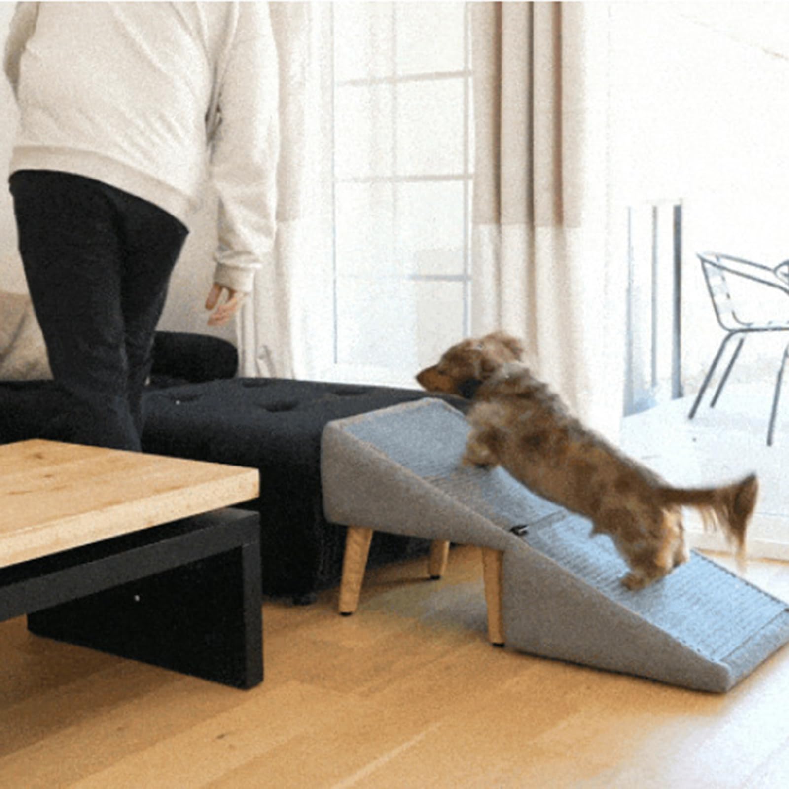 Generico Rampa per Animali Domestici, Scale Pieghevoli Antiscivolo per Cani di Piccola Taglia, Rampa per Cani Pieghevole E Leggera, Gradini per Cani per Letto a Soppalco E Divano,Nero