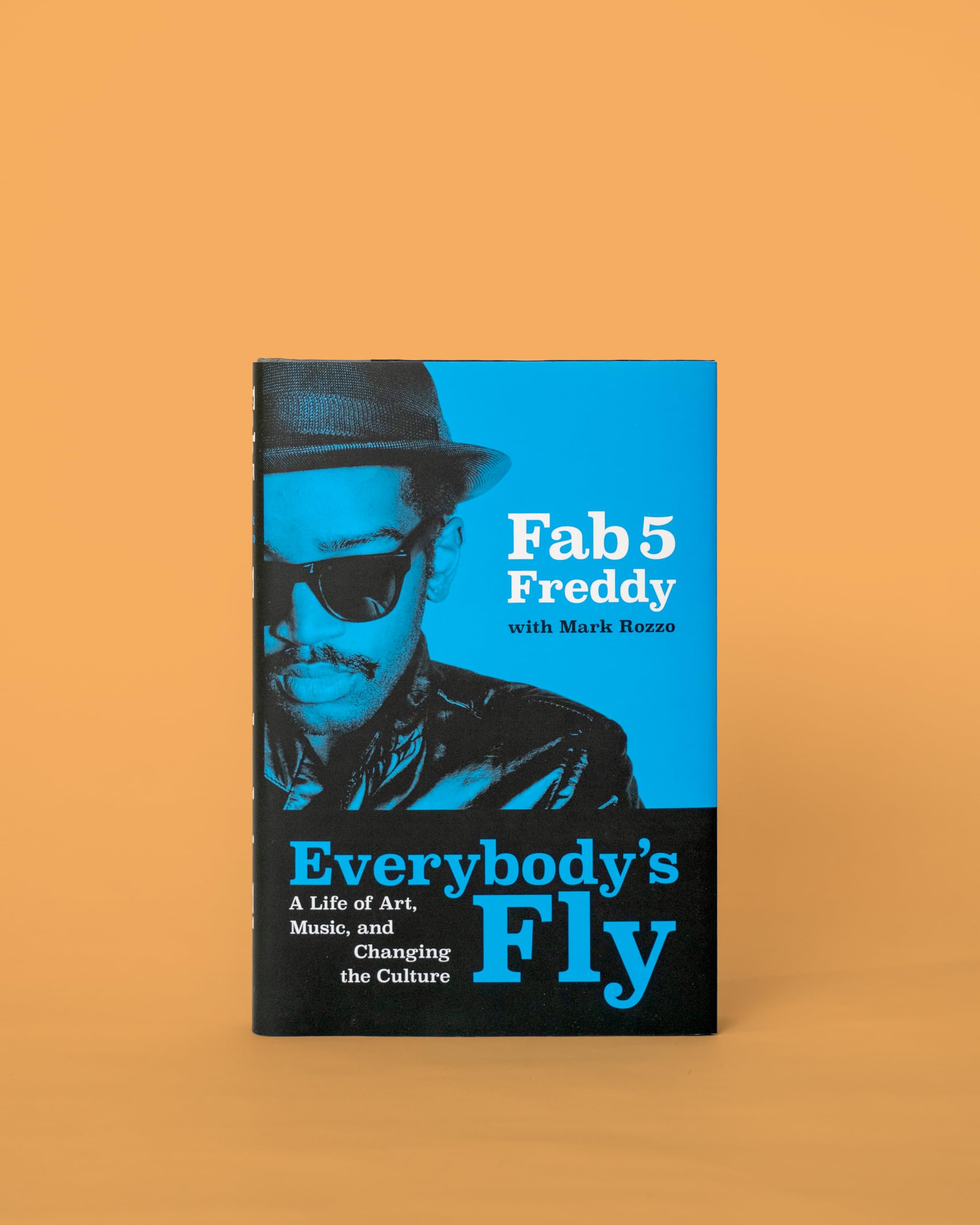 Everybody's Fly /anglais
