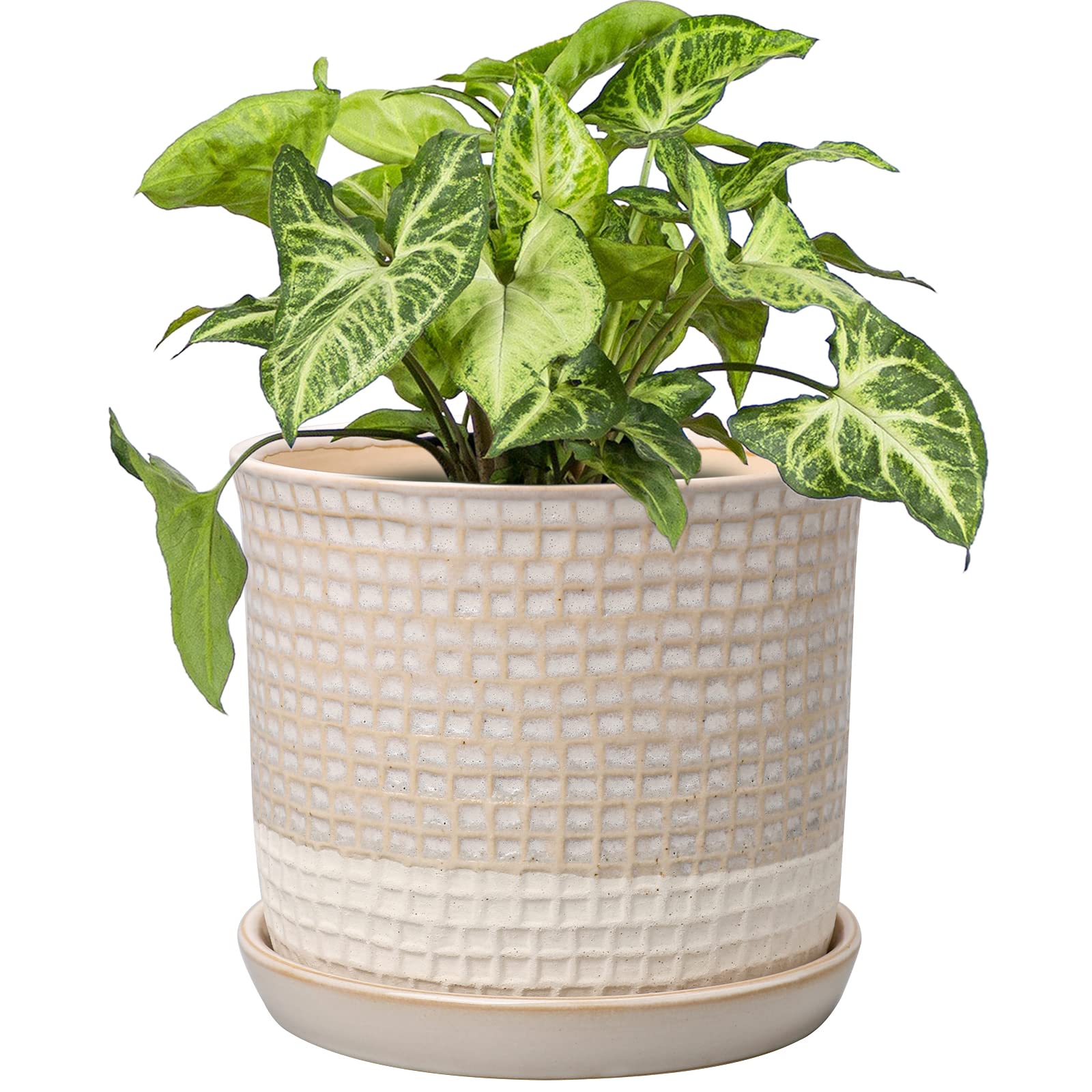 DILATATA White Planter for Indoor Plants 6 Inch Ceramic Plant Pot with