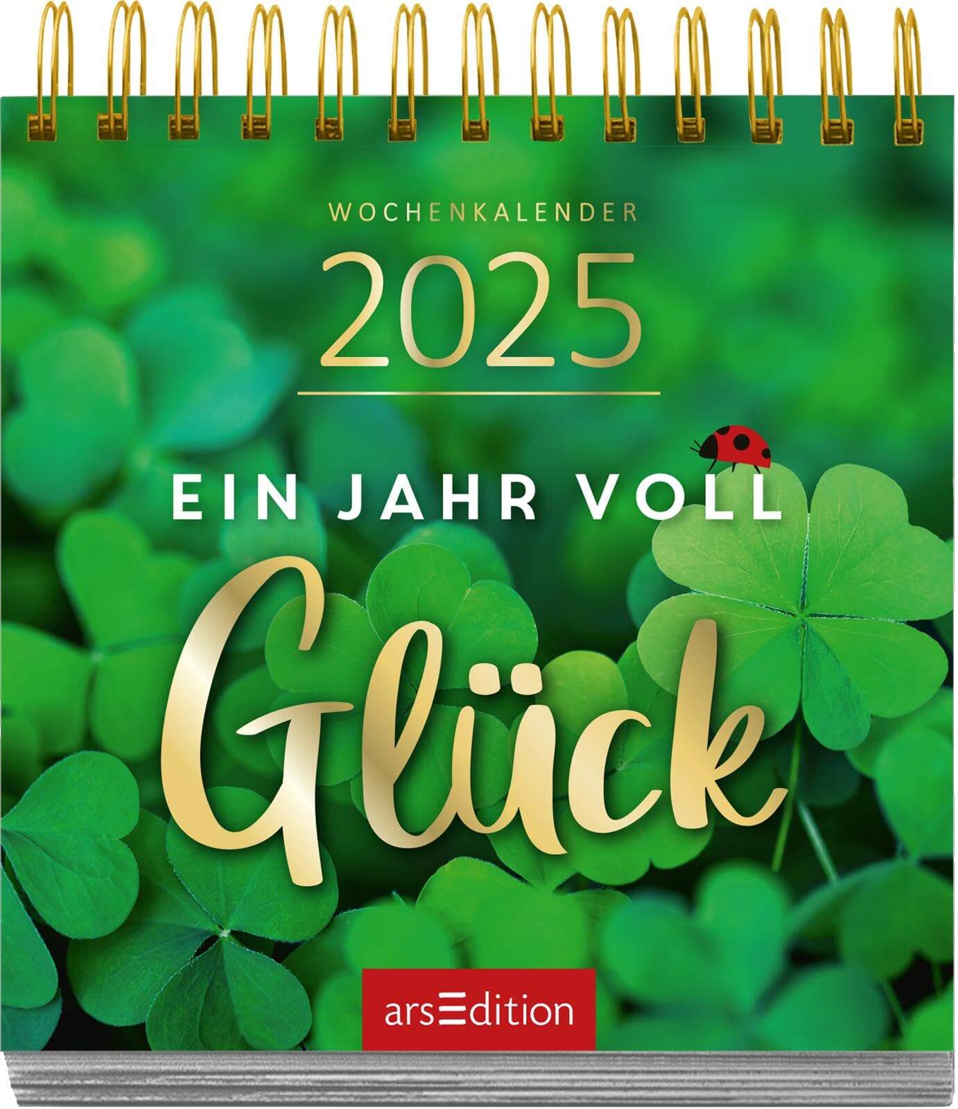 Display Mini-Wochenkalender 2025: Mit 12 x 5 Ex. | Kleine Tischkalender voller Inspirationen für jeden Tag