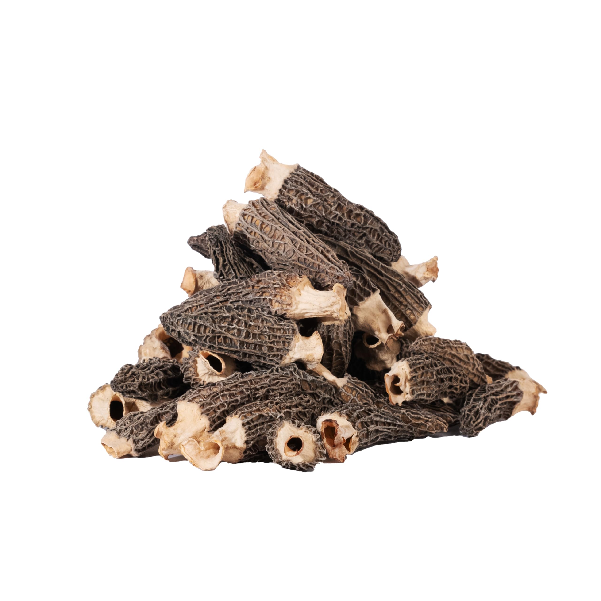 Mini Gucchi Mushroom (Box of 50 GMS) 1