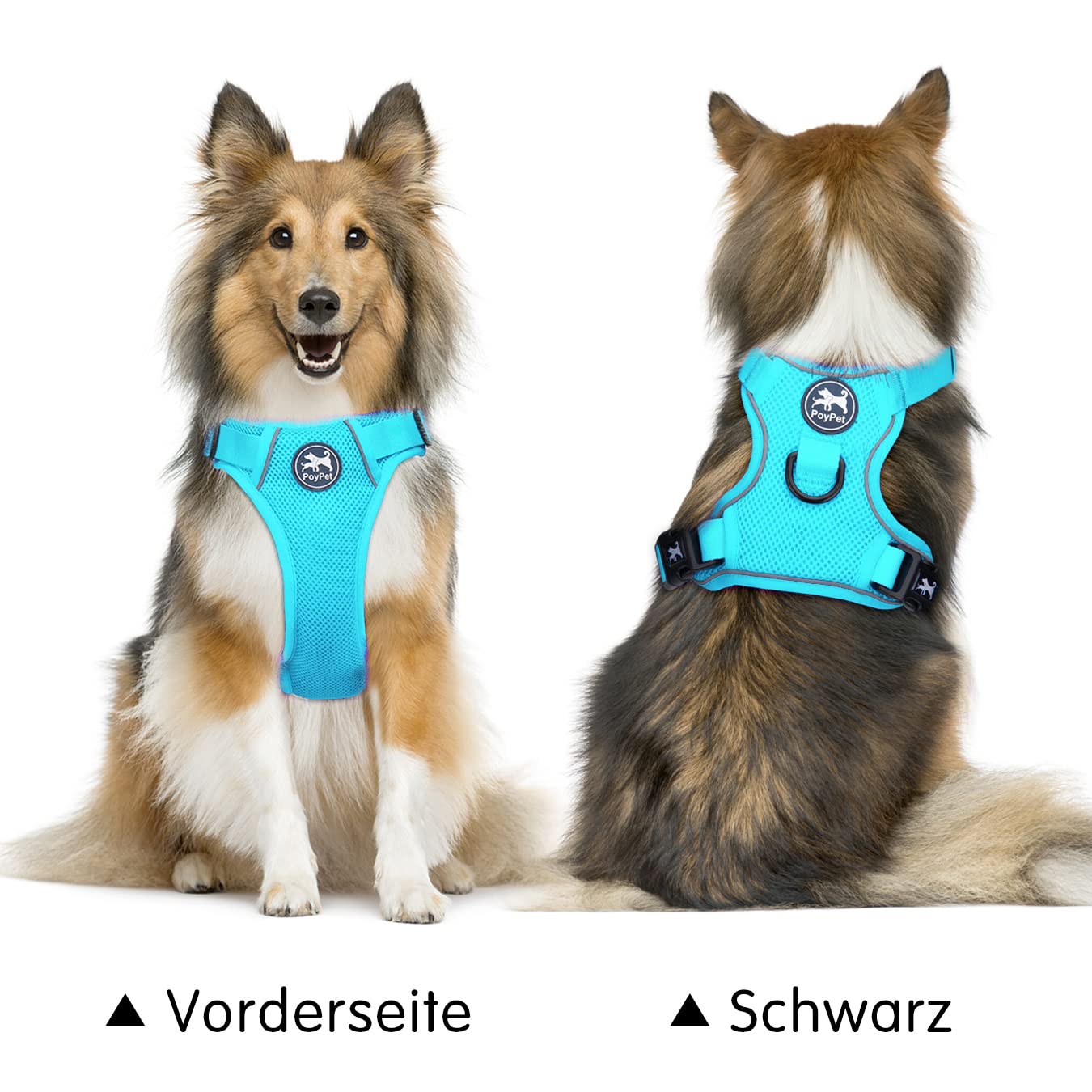 Hamshmoc Hundegeschirr Reflektierend – Atmungsaktiv, Mit 2 Ringen & 4 Schnallen, Verstellbar