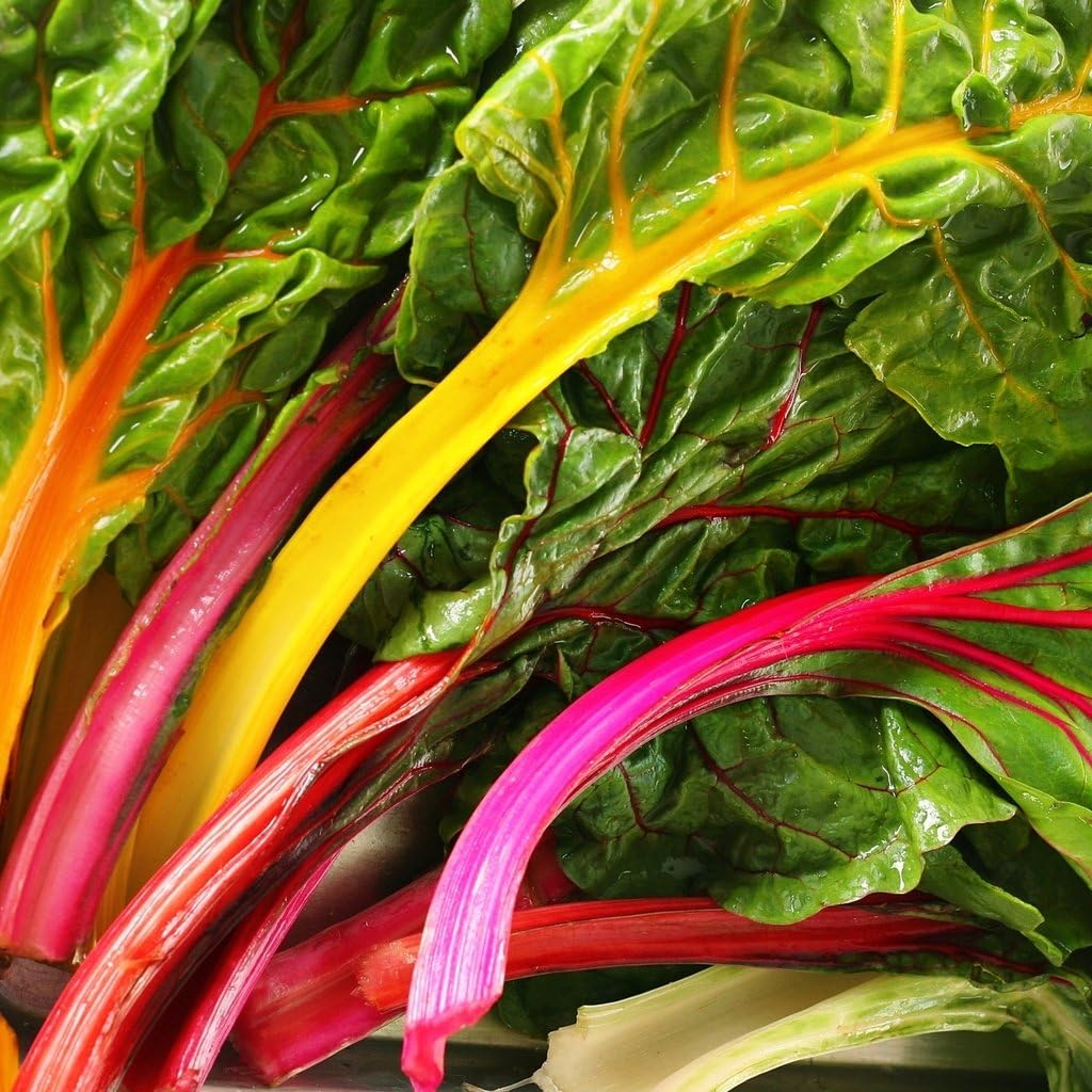 GROSEEDS - Vegetable Seeds, Swiss Chard - Rainbow Mixed, V-LEB-02, 175 Seeds Minimum Per Packet.