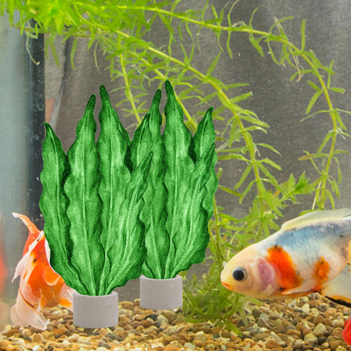 Keramik Pflanzenhalter Ring 12 Stück Aquariumpflanzen Befestigungsringe Wasserpflanzen Fixiergewichte für Aquarium und Garnelenversteck