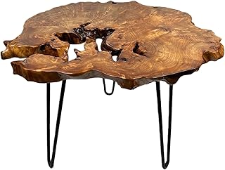 Live Edge End Table, Natural Edge Wood Side Table with Metal Hairpin Legs, 18" W x 14" D x 17" H Unique Desktop Wood Table for Living Room, Bedroom,Office (Medium Size)