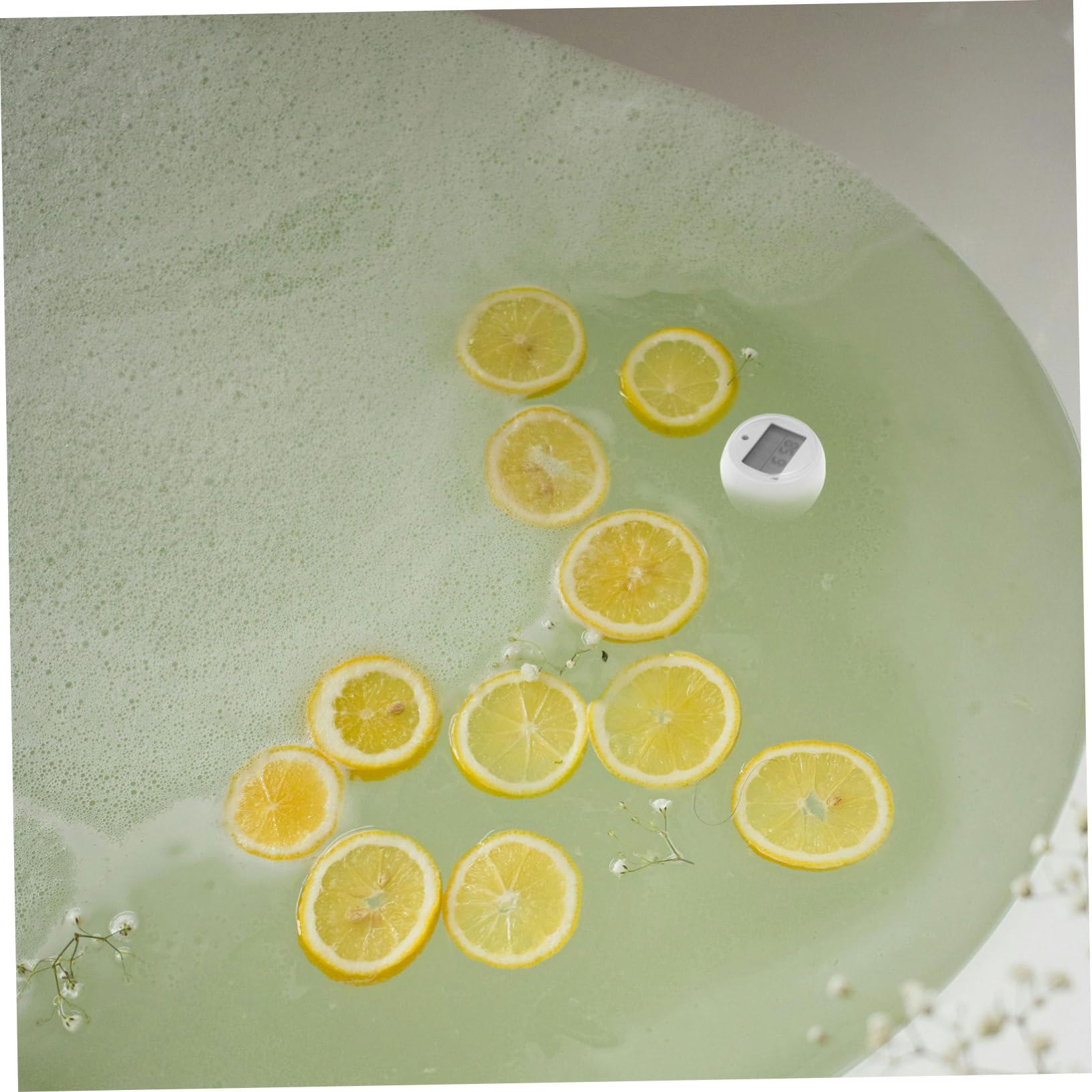 Alipis 4 Pièces Thermomètre De Bain De Glace Thermomètre De Pour Spas Thermomètre À Température Flottante Thermomètre À Eau Flottant Thermomètre De Température De L'Eau Thermomètre