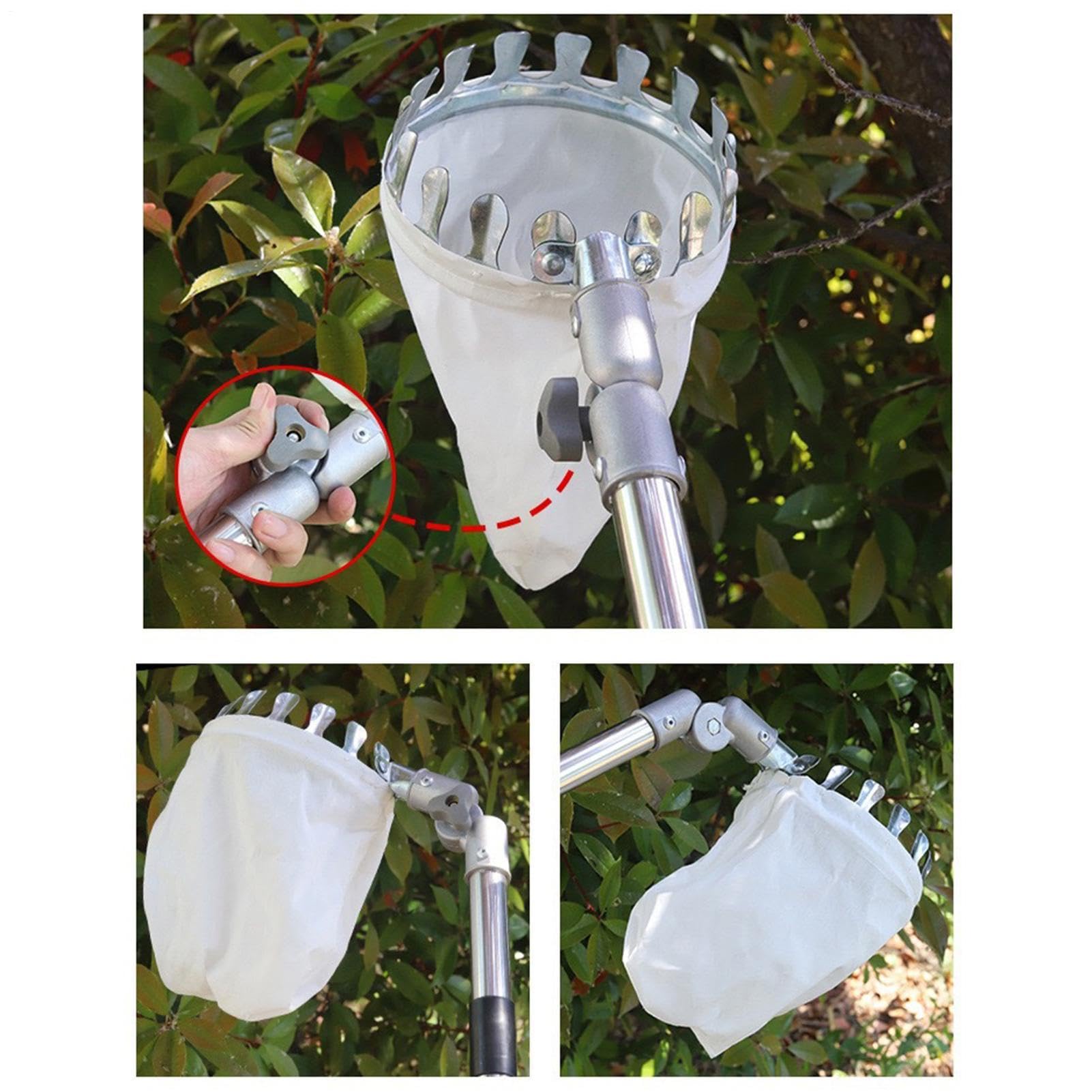 Recolector de Frutas de Árbol Recogedor Extensible de Acero Inoxidable con