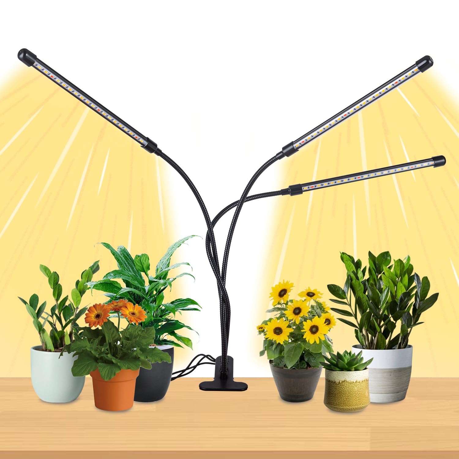 3Head Clip Grow Lights for Indoor Plants, Small Pot Plant Grow Light with 3,9,12 Hr Timer, Full Spectrum Bonsai Grow Light, Bright Plant Growing Lamps