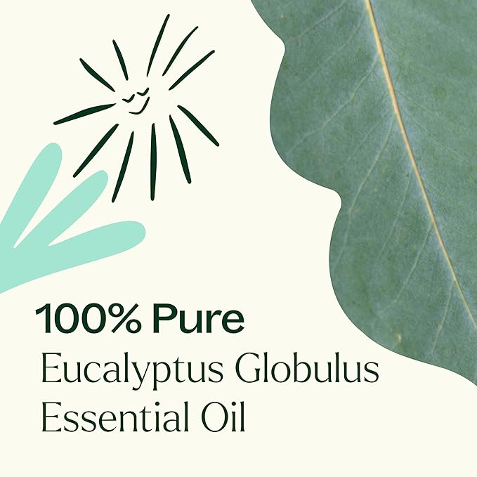 Aceite Esencial de Eucalipto Globulus Plant Therapy 100 mL miniatura 2