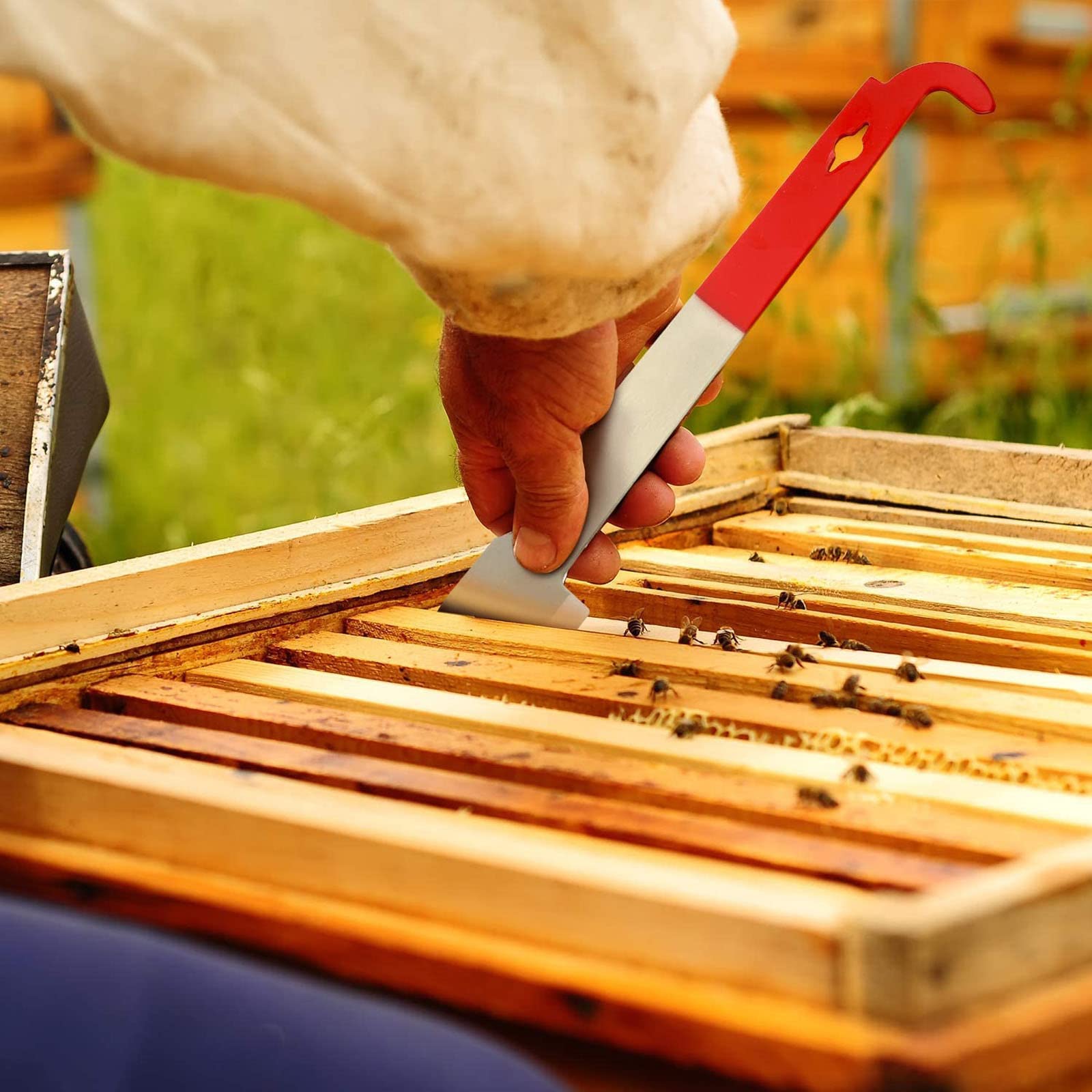 ValueHall Bienenstock-Werkzeug-Set (2 Stück) – Edelstahl J-Haken & Schaber, Rot Lackiert – Für Imker, Bienenzucht, Rahmenheber & Wachskratzer