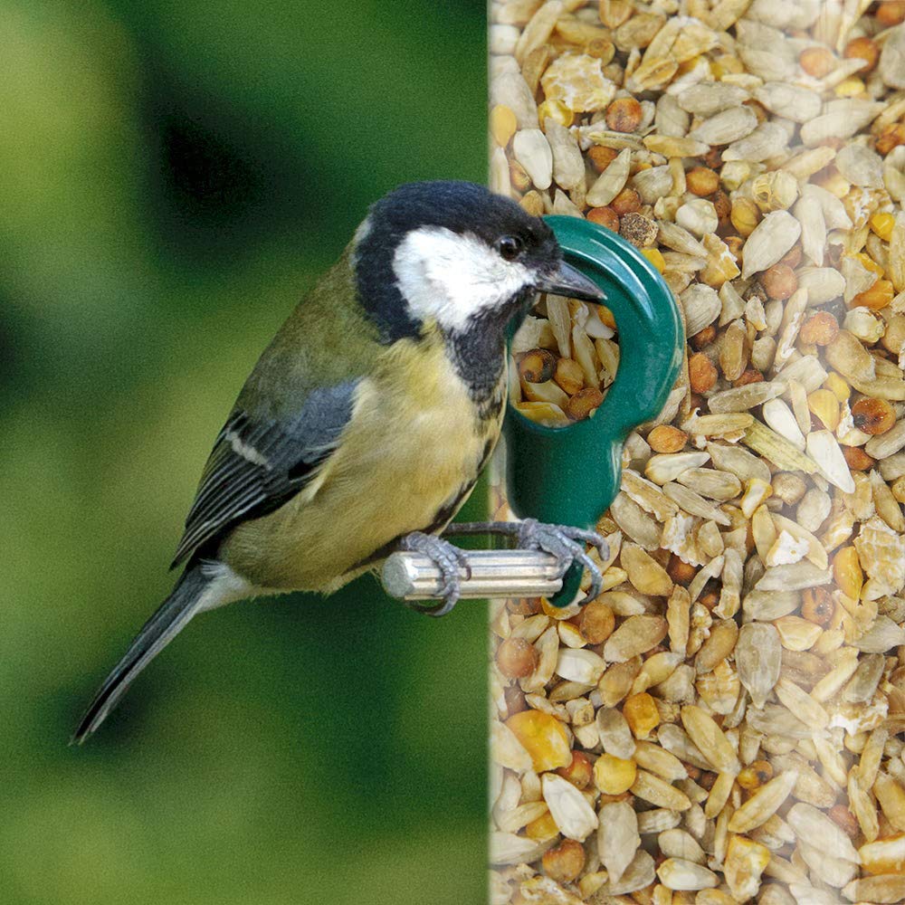 Mezcla de Semillas sin desorden GardenersDream - Alimento para Aves Silvestres cáscara.