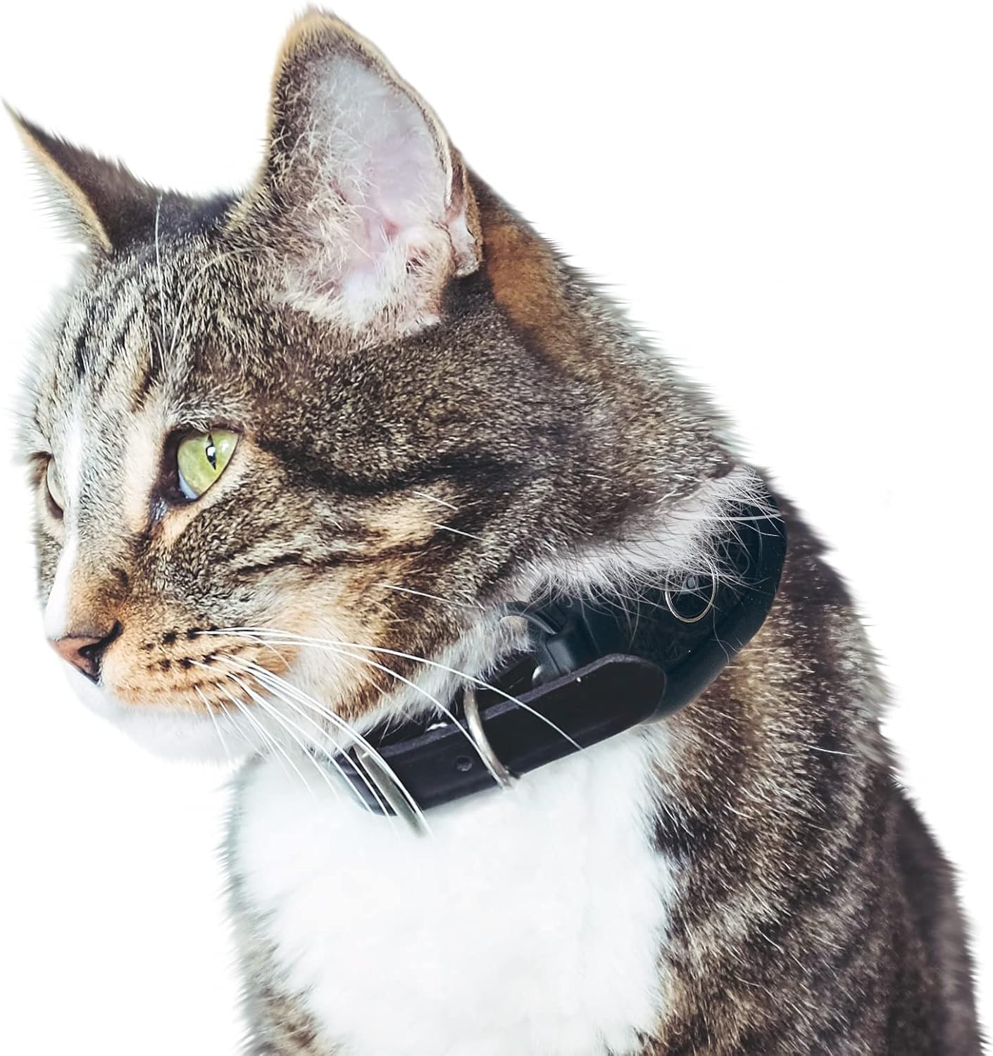 Cat tracker uk Outlet