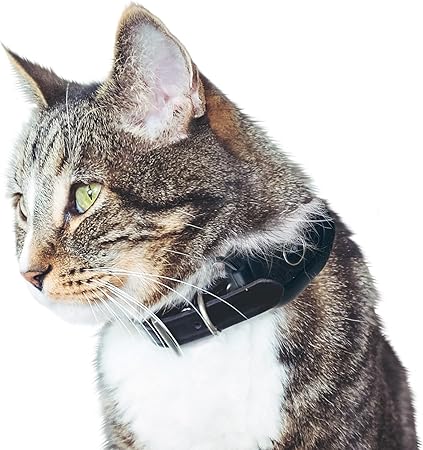 gps cat collar amazon