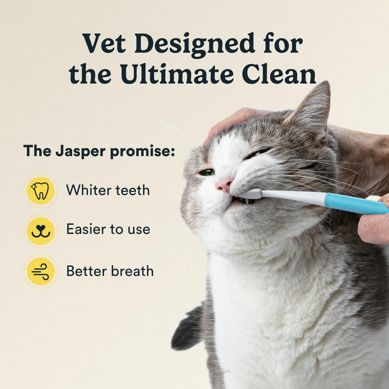 Jasper Microbrush Cepillo de Dientes para Gatos, Kit de Cepillo de Dientes de cerdas Suaves para Gatos, Cachorros y Perros pequeños, Mango Antideslizante 2 Cabezales de Cepillo