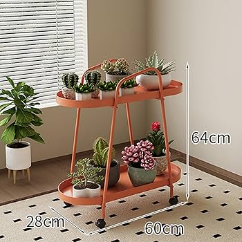 71XqPKWE1EL._AC_UF350,