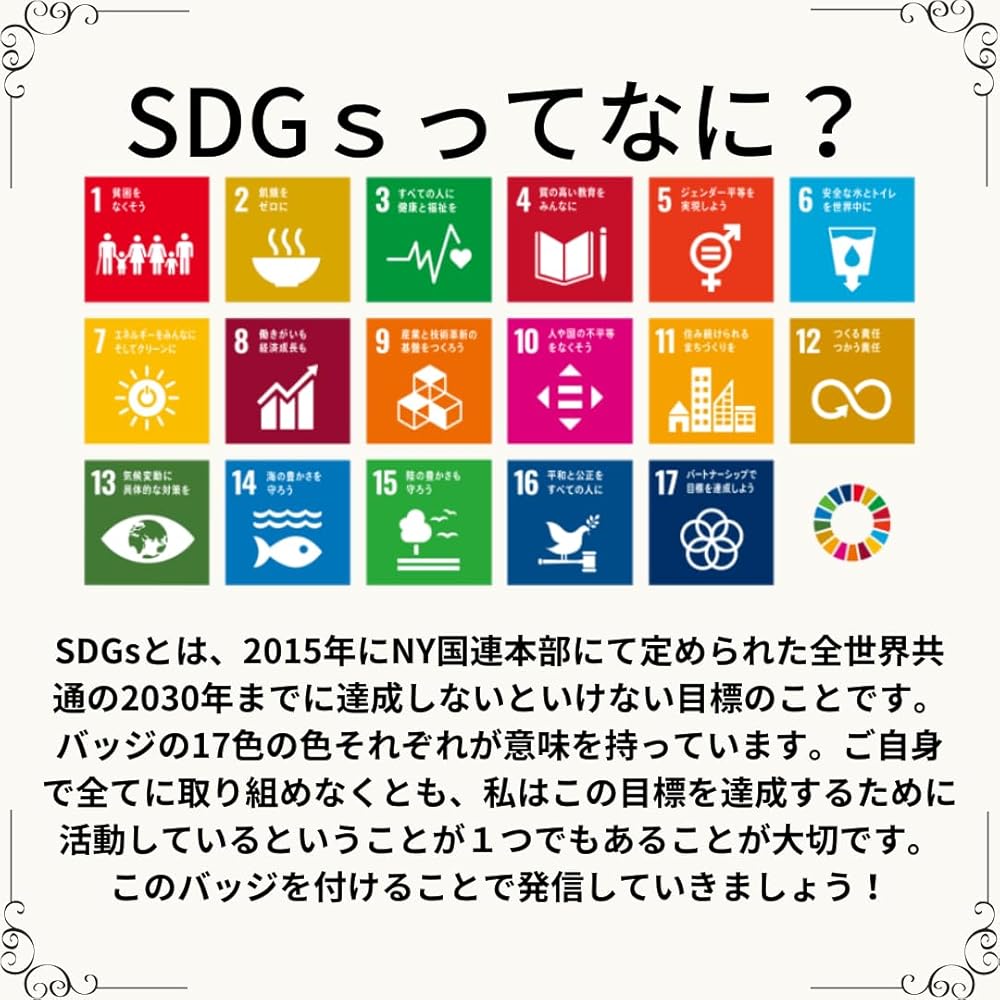 Amazon.co.jp: 【国連本部公式最新仕様/インボイス制度対応】SDGs