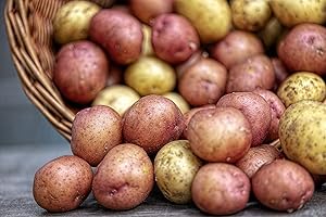 Simply Seed 5 Lb Seed Potatoes